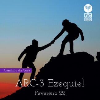 ARC-3: Ezequiel